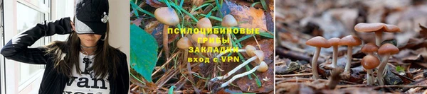 прущий лед Богданович