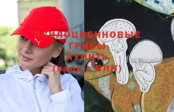 прущая мука Бородино
