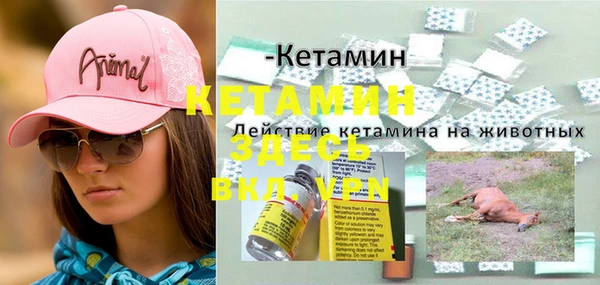 прущий лед Богданович