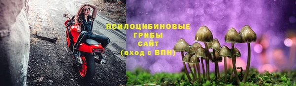 ПСИЛОЦИБИНОВЫЕ ГРИБЫ Богородицк