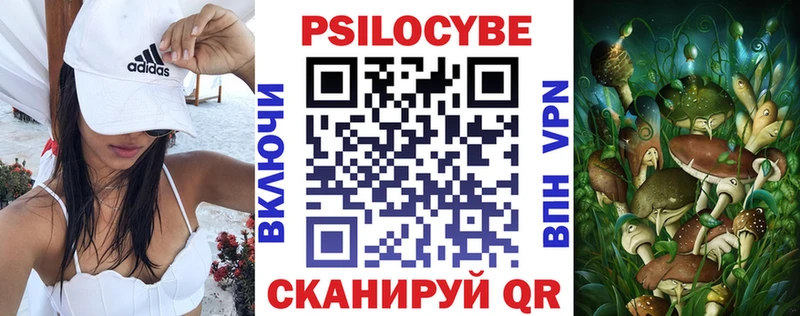 Псилоцибиновые грибы Psilocybe  Купить закладки  Краснотурьинск 